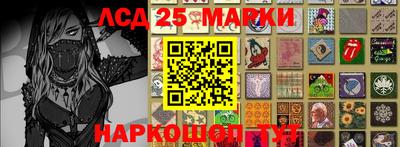 прущие грибы Краснокаменск