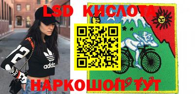 прущие грибы Краснознаменск