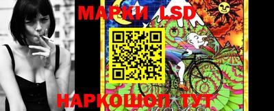 прущие грибы Краснознаменск