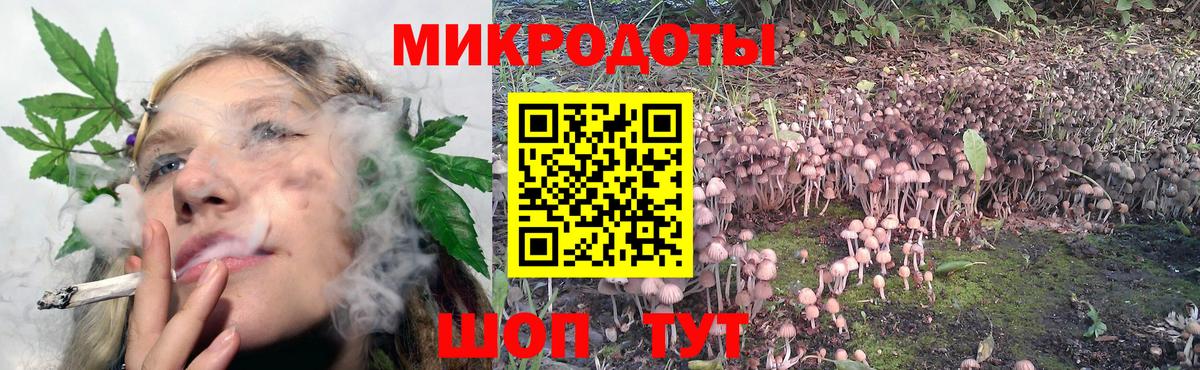 Галлюциногенные грибы мицелий Донской